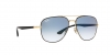 RB3683 Sunglasses
