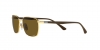 RB3684CH Sunglasses
