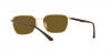 RB3684CH Sunglasses