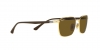 RB3684CH Sunglasses