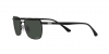 RB3684CH Sunglasses