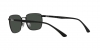RB3684CH Sunglasses