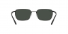 RB3684CH Sunglasses
