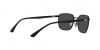 RB3684CH Sunglasses