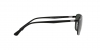RB3684CH Sunglasses
