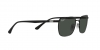 RB3684CH Sunglasses