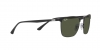 RB3686 Sunglasses
