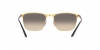 RB3686 Sunglasses