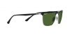 RB3686 Sunglasses