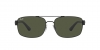 RB3687 Sunglasses