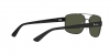 RB3687 Sunglasses