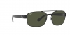 RB3687 Sunglasses