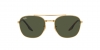 RB3688 Sunglasses
