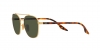 RB3688 Sunglasses