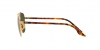 RB3688 Sunglasses