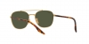 RB3688 Sunglasses