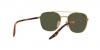 RB3688 Sunglasses
