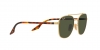 RB3688 Sunglasses