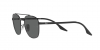 RB3688 Sunglasses