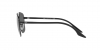 RB3688 Sunglasses