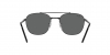 RB3688 Sunglasses