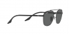 RB3688 Sunglasses