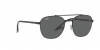 RB3688 Sunglasses