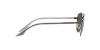 RB3688 Sunglasses