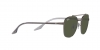 RB3688 Sunglasses