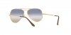 RB3689 Aviator Metal Ii Sunglasses