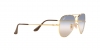 RB3689 Aviator Metal Ii Sunglasses