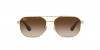 RB3689 Aviator Metal Ii Sunglasses