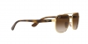 RB3689 Aviator Metal Ii Sunglasses