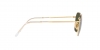 RB3694 Jim Sunglasses