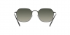 RB3694 Jim Sunglasses