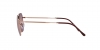 RB3694 Jim Sunglasses