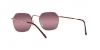 RB3694 Jim Sunglasses