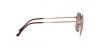 RB3694 Jim Sunglasses