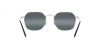 RB3694 Jim Sunglasses