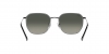 RB3694 Jim Sunglasses