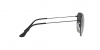 RB3694 Jim Sunglasses