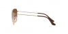 RB3695I Sunglasses