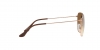 RB3695I Sunglasses