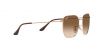RB3695I Sunglasses
