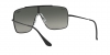 RB3697 Wings Ii Sunglasses