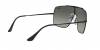 RB3697 Wings Ii Sunglasses