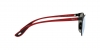 RB3698M Sunglasses