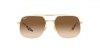 RB3699 Sunglasses
