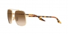 RB3699 Sunglasses