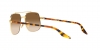 RB3699 Sunglasses